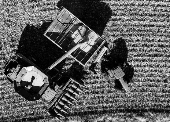 CORN IS TRANSFERRED during a harvest in Lancaster County. Craig Chandler | University Communication and Marketing