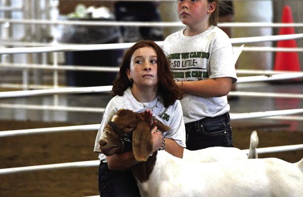 Building the next generation in 4-H