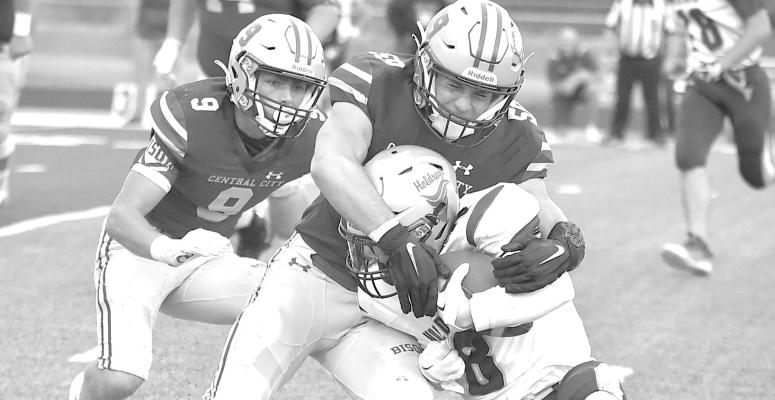 Bison stampede over Dusters 39-14