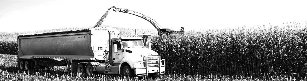 2025 Nebraska Crop Budgets Available Now