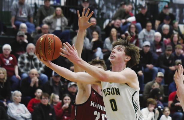 KAYDEN MORNER drives past the Fullerton defense and lays the ball in the basket for two of his seventeen points in last Friday’s 68-56 loss to the Warriors. Photos by Jordan Coslor