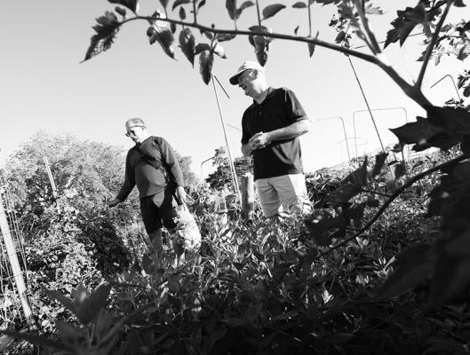 MARK MESARCH AND BILL SORENSEN walk through plots in the East Campus Community Gardens. Both work in the School of Natural Resources, Mesarch as senior web and database programmer and Sorensen as software development specialist. Sorensen was one of the first gardeners in 1993, when the gardens were exclusive to staff and faculty in the agronomy department. Photo Courtesy of Liz McCue