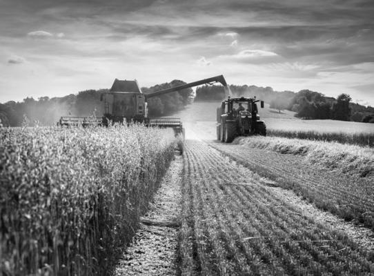 Farm Bureau sets policy, elects leaders at annual meeting