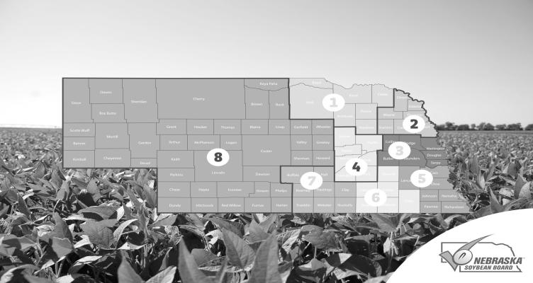 In 2025, NSB is seeking farmer-leaders to represent fellow soybean farmers in Districts 2, 4 and 8.