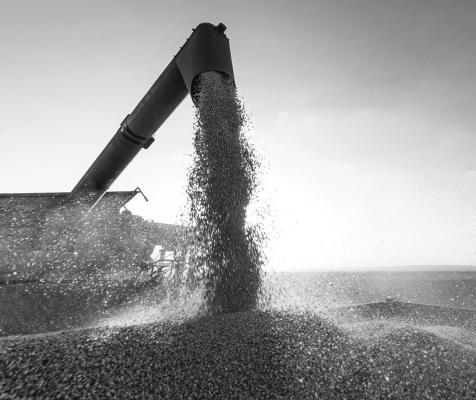 Rising costs squeeze Nebraska agriculture