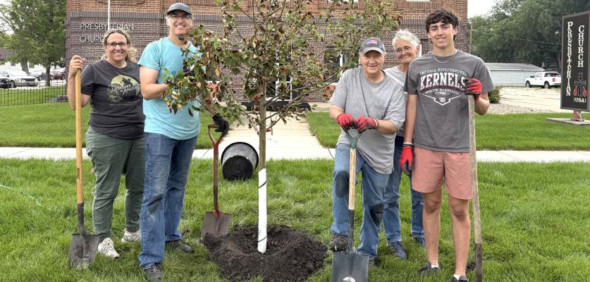 New trees planted by Presbyterian Church add color to the community