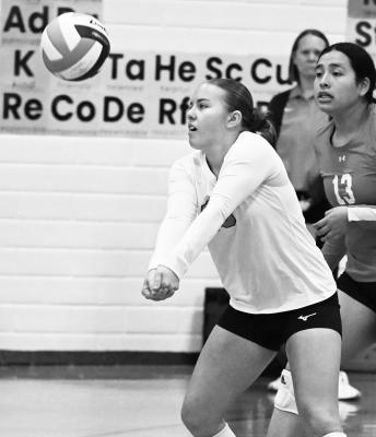 Lady Bison take fifth at LPC Tournament