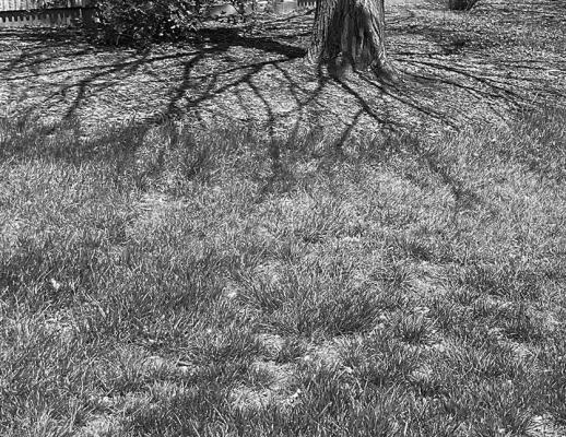 Nebraska Horticulture