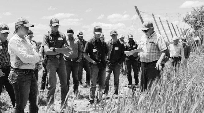 JERRY VOLESKY, professor of agronomy and horticulture and extension range and forest specialist, explains different varieties of annual forages to participants in the Nebraska Ranch Practicum. Karlie Gerlach | West Central Research, Extension and Education Center