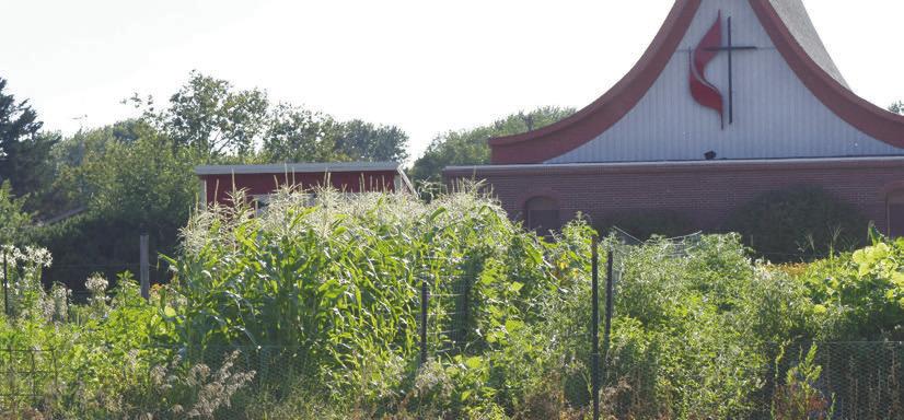 THE COMMUNAL GARDEN at the United Methodist Church in Central City features a variety of plants and vegetables. In its second year, the garden and its volunteers are learning from lessons gained last growing season. Photo by Jordan Coslor