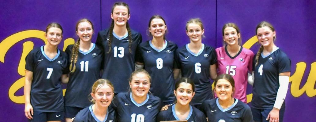 Storm and Eagles fall just short of conference gold