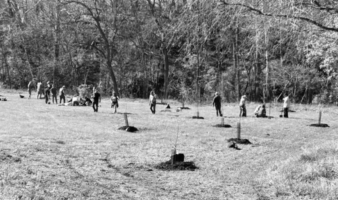 VOLUNTEERS WORK to plant trees in Nebraska City. Courtesy Photo