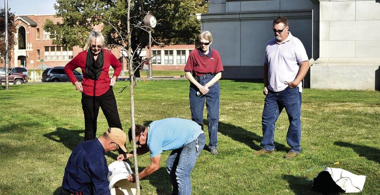 Locals come together for tree planting