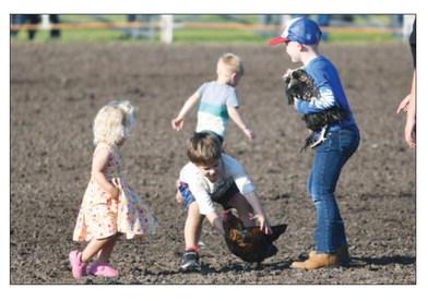 CHICKENS were chased by local children at the Junior Rodeo in Central City last Saturday night.