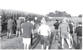 Corn Growers Association holds plot tour