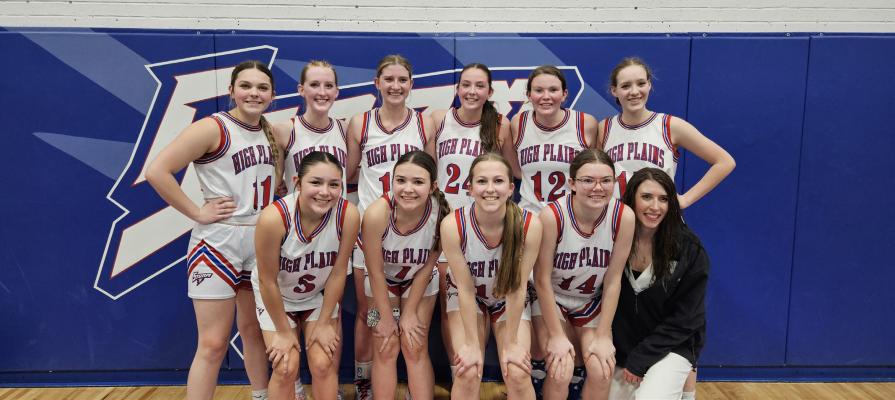 Lady Storm advance to district final