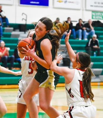 Bison fall to Huskies to end season