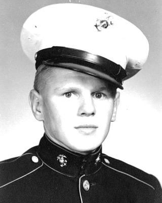 Virgil Dwain Holz