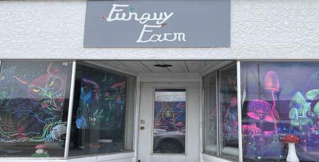 From doughnuts to ‘shrooms: The Funguy Farm’s holistic harvest