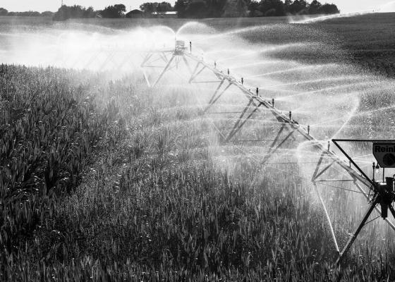 NEW INTERDISCIPLINARY RESEARCH from the University of Nebraska–Lincoln offers a practical way for farmers to manage irrigation more efficiently and protect their profits. Craig Chandler | University Communication and Marketing
