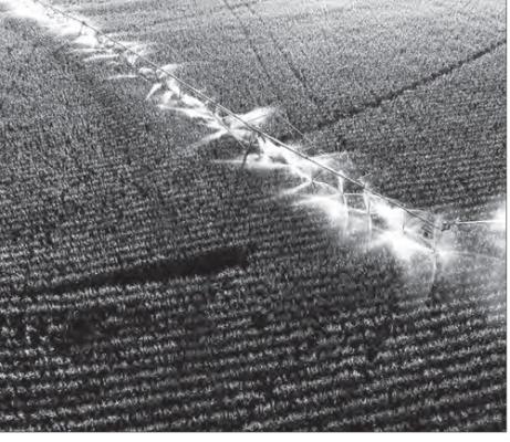 LOWER CROP PRICES and tighter margins contributed to declines in Nebraska cropland values, while strong cattle markets supported higher pasture values, according to the 2026 Nebraska Farm Real Estate Market Survey. Craig Chandler | University Communication and Marketing