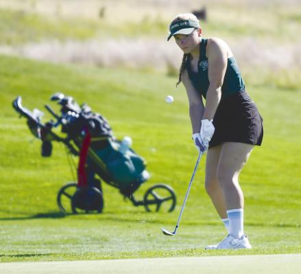 BISON BATTLE AT CONFERENCE