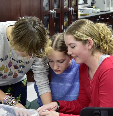 Inspired Students and More