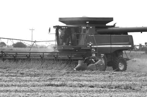 CORN AND SOYBEAN HARVEST continued across Nebraska this week. According to the University of Nebraska Institute of Agriculture and Natural Resources, despite multiple days suitable for fieldwork last week, soybean harvest remains well behind its usual pace, with corn harvest also trailing traditional benchmarks. Above, farmers work to harvest soybeans in a field between Archer and Central City last Wednesday afternoon. Courtesy Photo